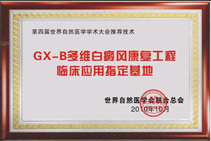 GX-B多维白癜风康复工程临